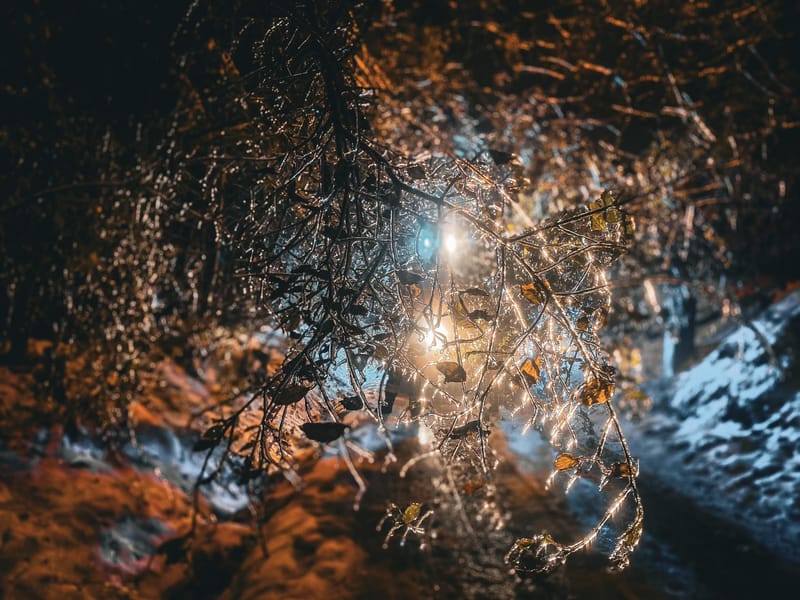 Károkat okozott az ónos eső