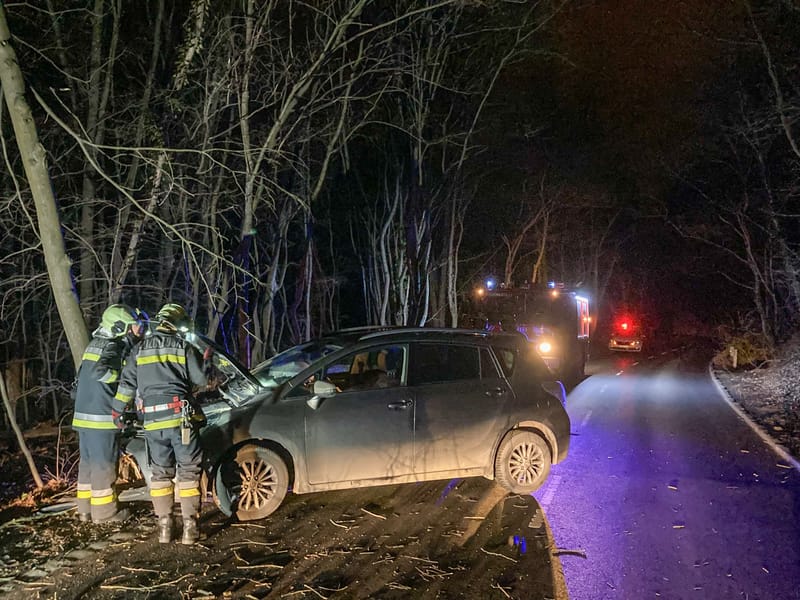 Fának hajtott egy autó