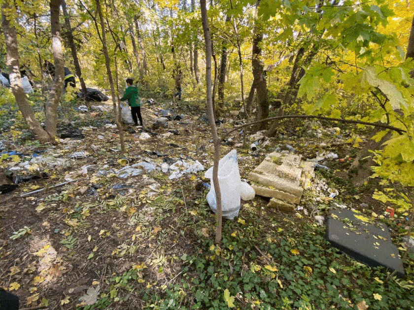 TeSzedd! – Önkéntesen a tiszta Magyarországért! 2021