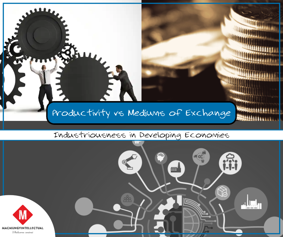 Productivity vs Mediums of Exchange: Industriousness in Developing Economies