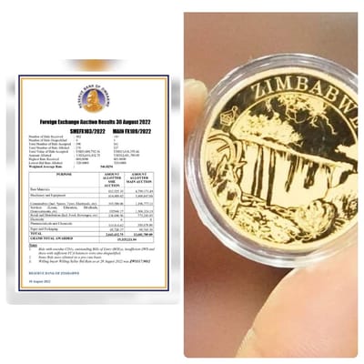 Zimbabwean Economic Transformation Efforts