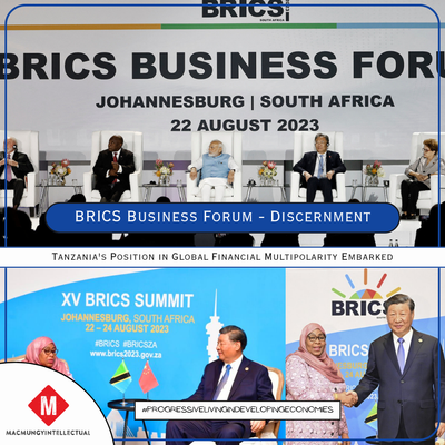 BRICS 2023 BUSINESS SUMMIT; Tanzania's Position in Global Financial Multipolarity Embarked