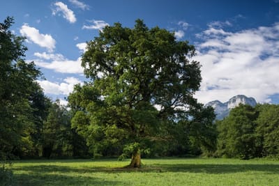 les soins a distances image