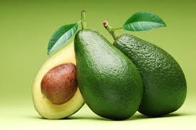Abacate, um risco a natureza?