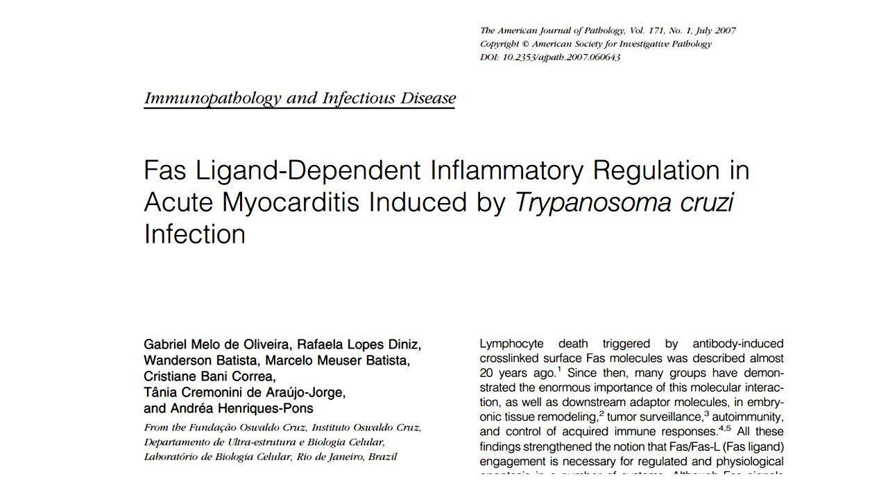 Fas ligand-dependent inflammatory regulation in acute myocarditis induced by Trypanosoma cruzi infection