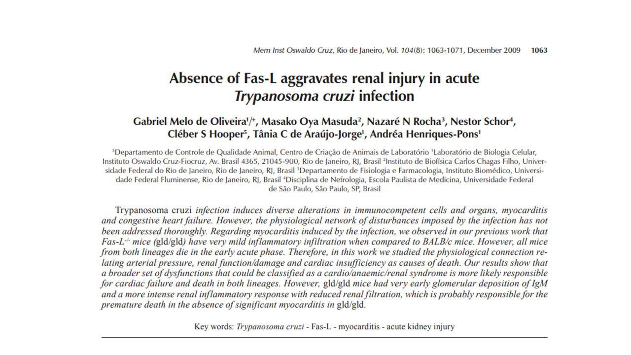 Absence of Fas-L aggravates renal injury in acute Trypanosoma cruzi infection