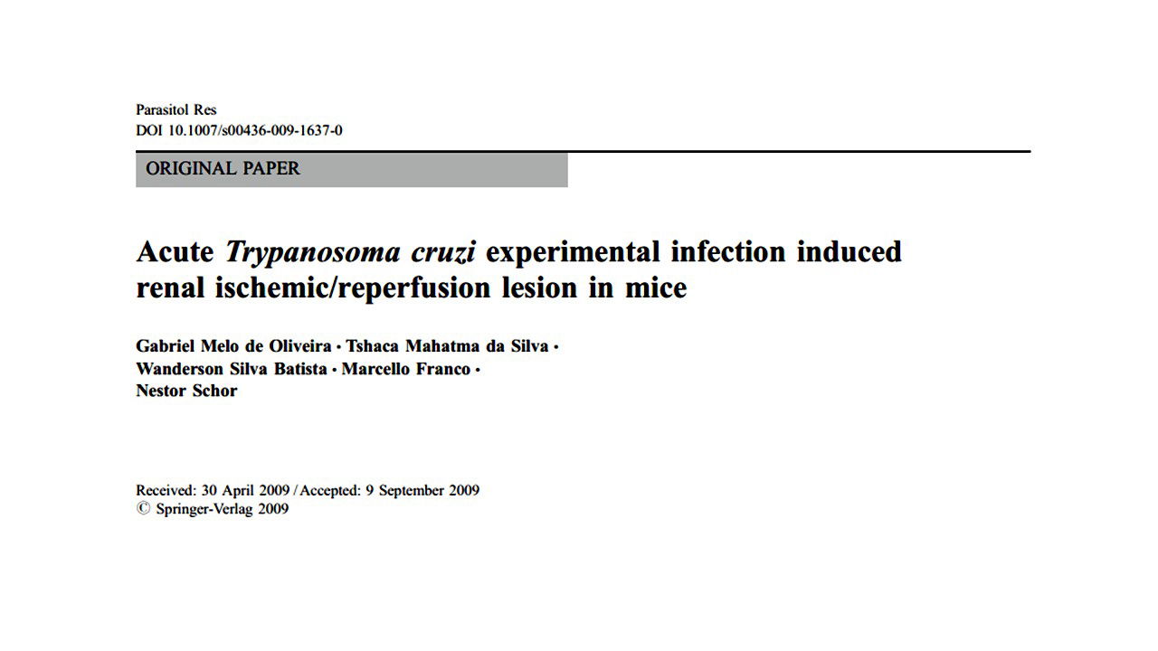 Acute Trypanosoma cruzi experimental infection induced renal ischemic/reperfusion lesion in mice