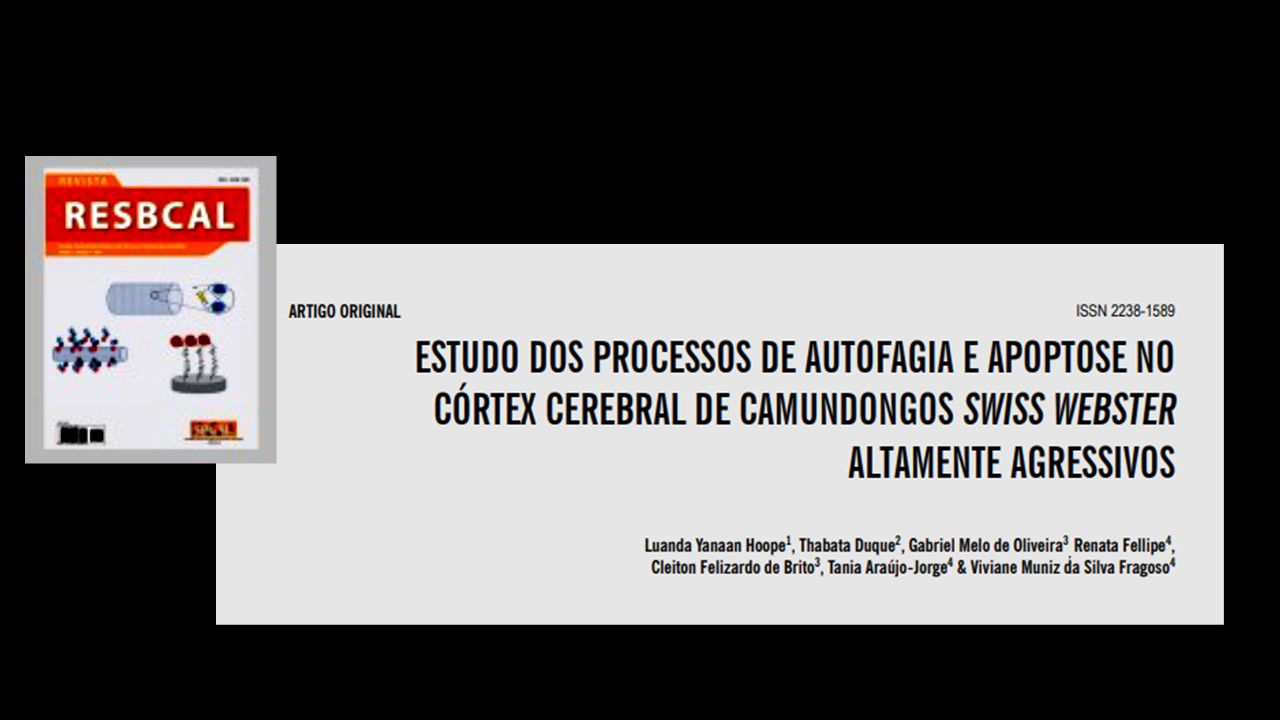 Estudo dos processos de autofagia e apoptose no córtex cerebral de camundongos Swiss Webster altamente agressivos