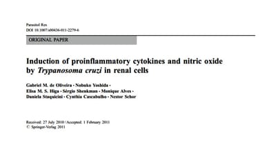Induction of proinflammatory cytokines and nitric oxide by Trypanosoma cruzi in renal cells