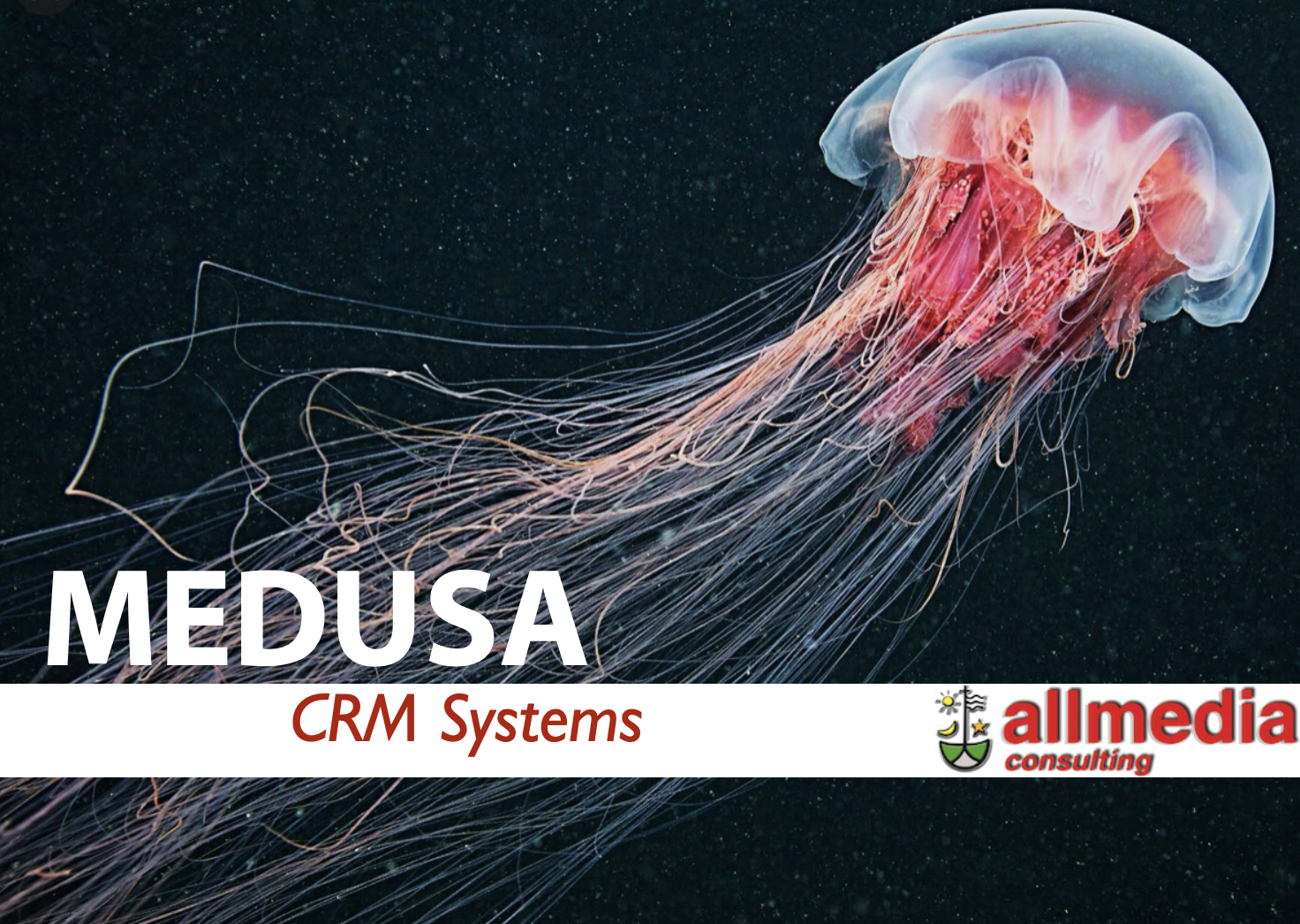 MEDUSA CRM Systems