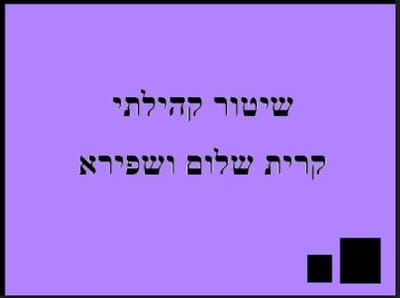 שיטור קהילתי קרית שלום ושפירא שיטור קהילתי קרית שלום ושפירא