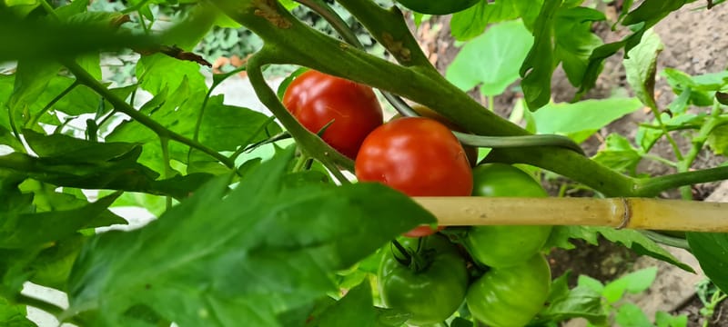 Focus / Détermination