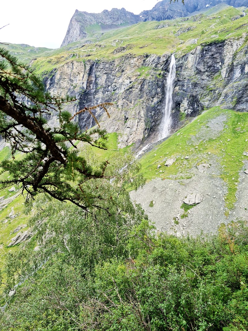 Intelligence émotionnelle