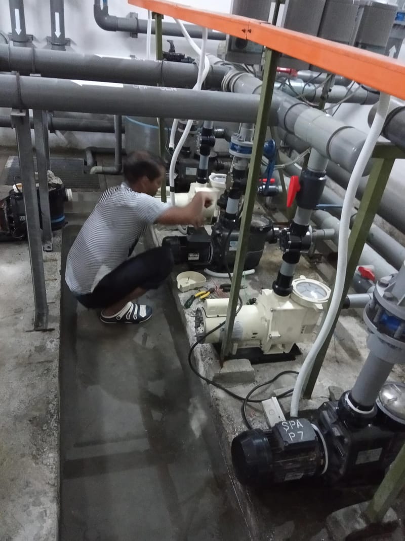 MAINTENANCE