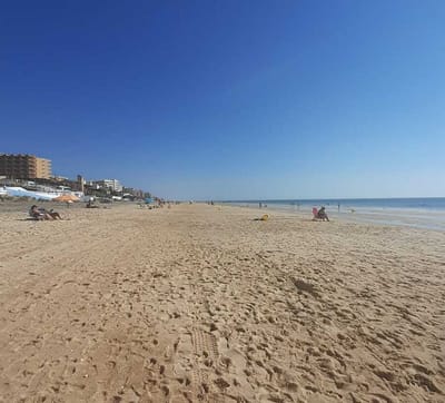 Matalascañas, Huelva, Andalucía