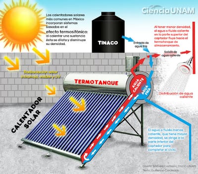 ARTICULO 16 image