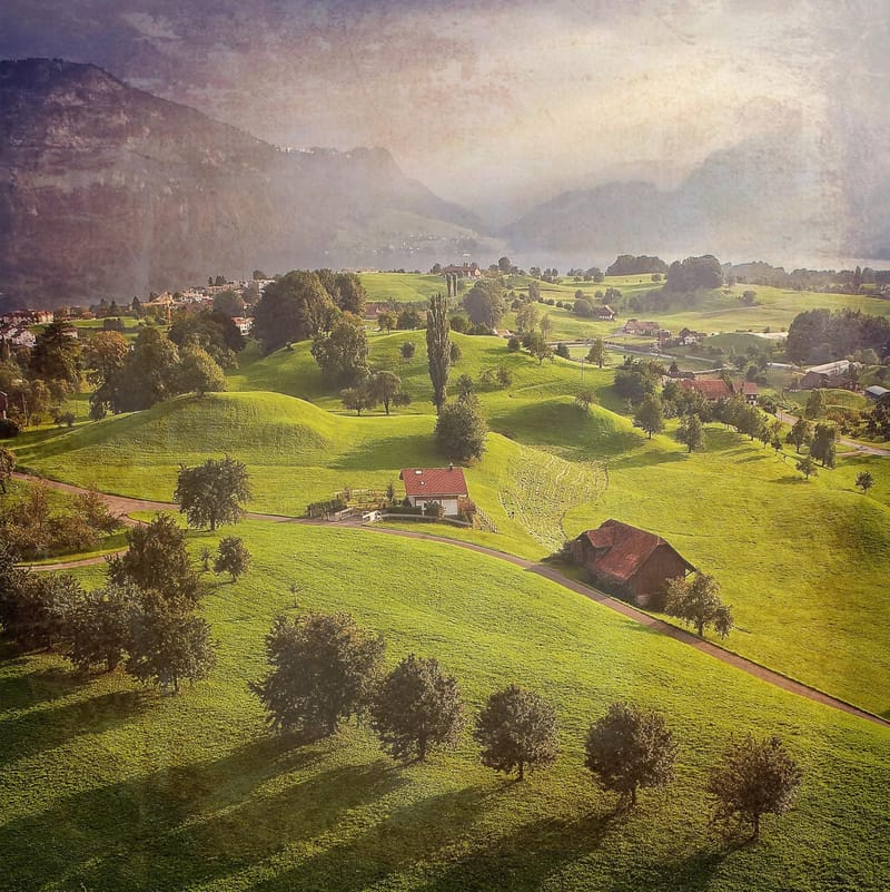 Farm Liability Policy: What Does It Cover?