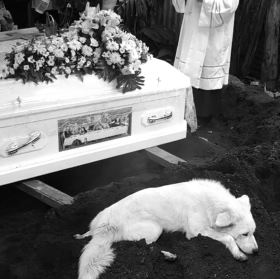 Perginya Sang Penjaga Mistik: The Call to Conversion -           Sebuah Eksposisi tentang Singo (Anjing putih) pada makam Sang Profesor Pareira