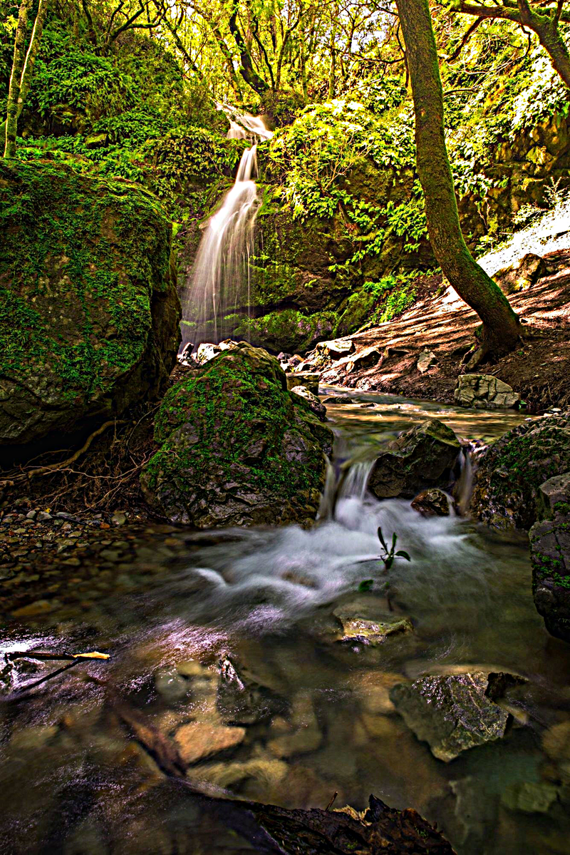 Perjumpaan dengan Kata Yunani