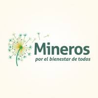 Proyecciones financieras de Mineros S.A.