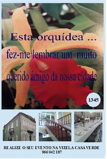 Vizela: venha conhecê-la