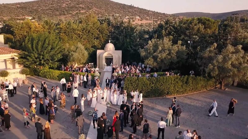 Sylvia & Panos Olive theme wedding Ktima Orizontes Athens