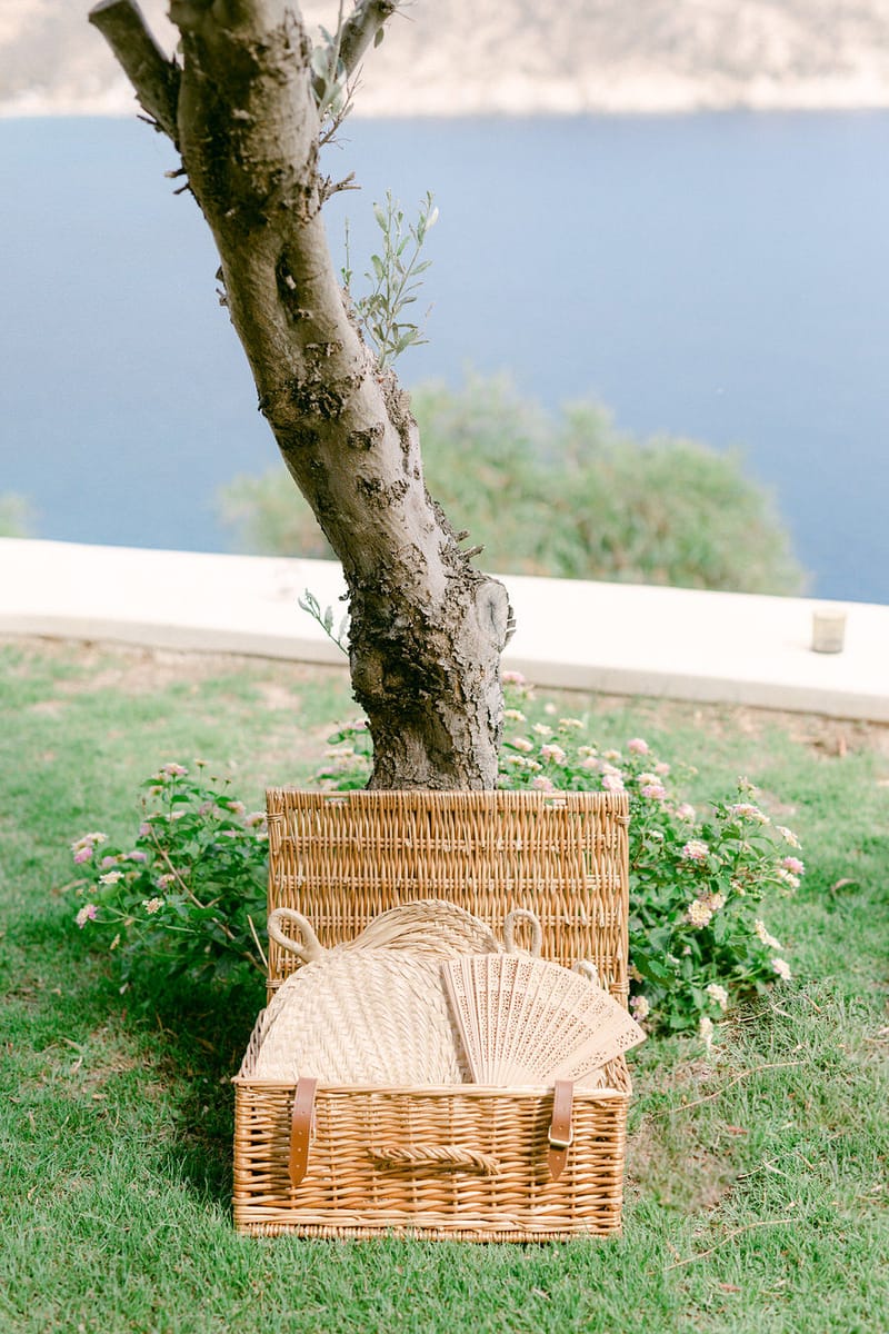 Vlad & Andreea 's Wedding Day