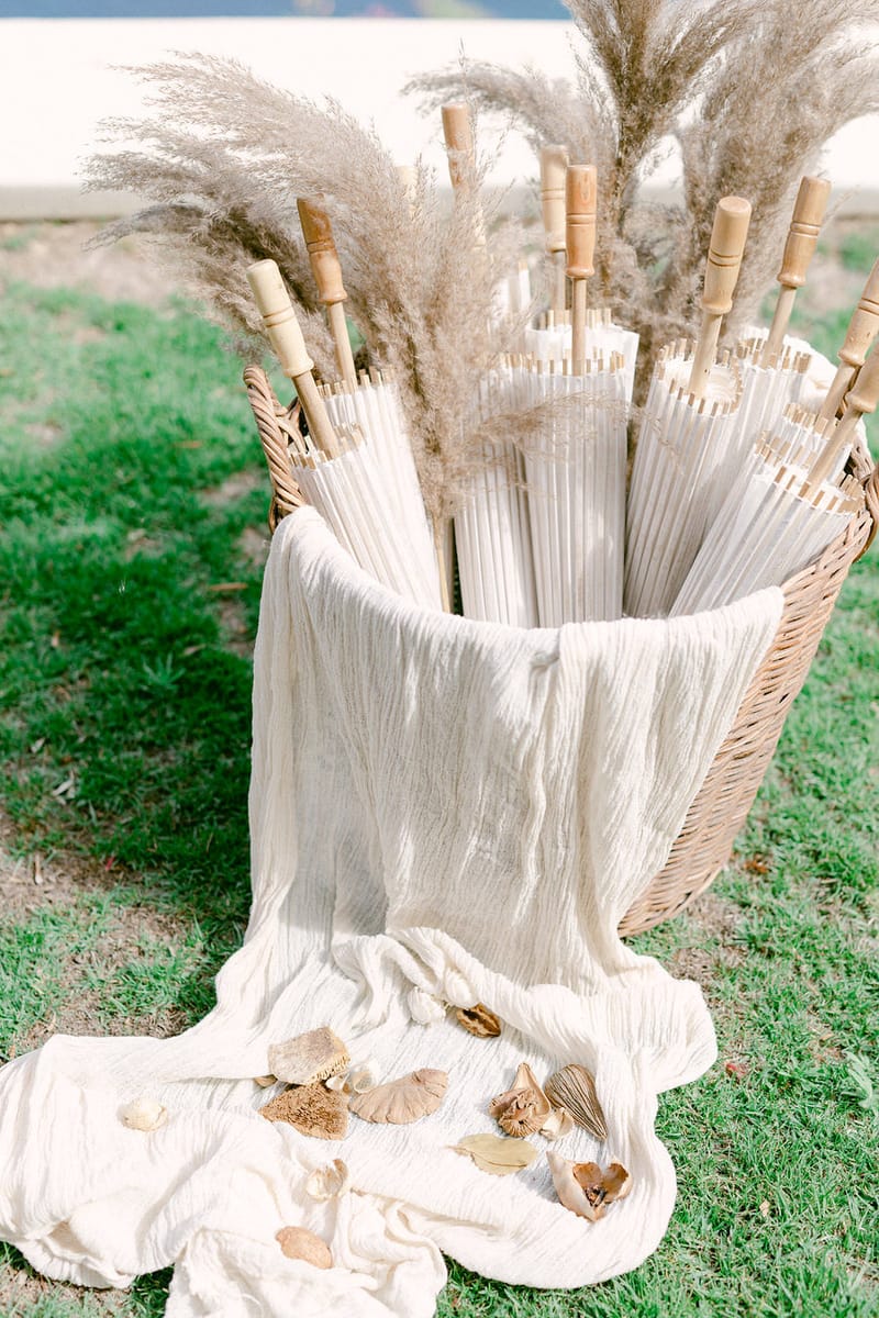 Vlad & Andreea 's Wedding Day