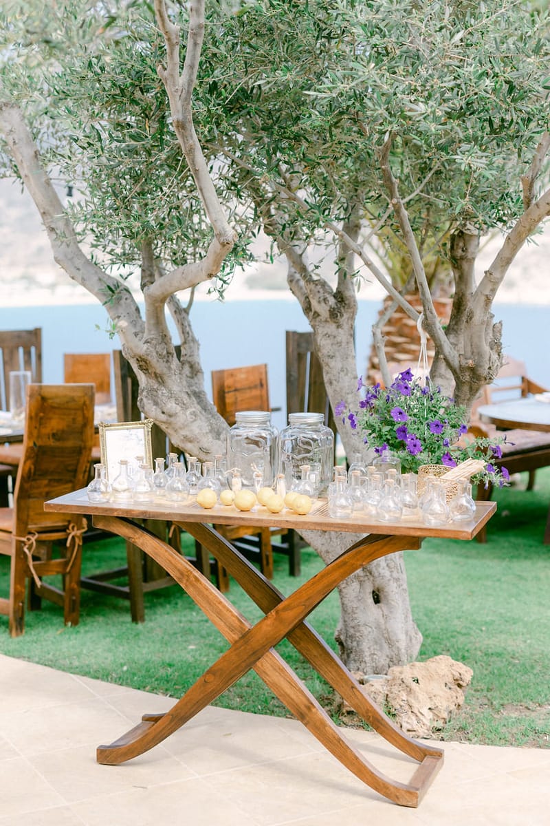 Vlad & Andreea 's Wedding Day