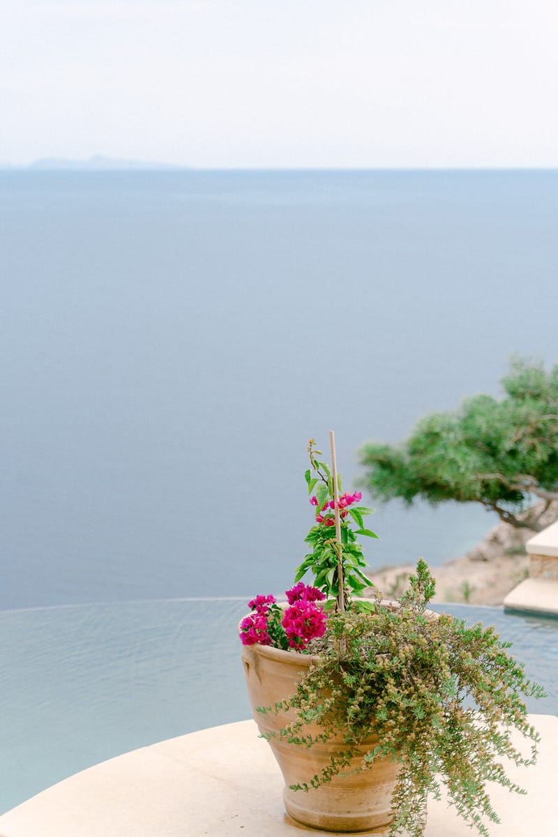 Vlad & Andreea 's Wedding Day