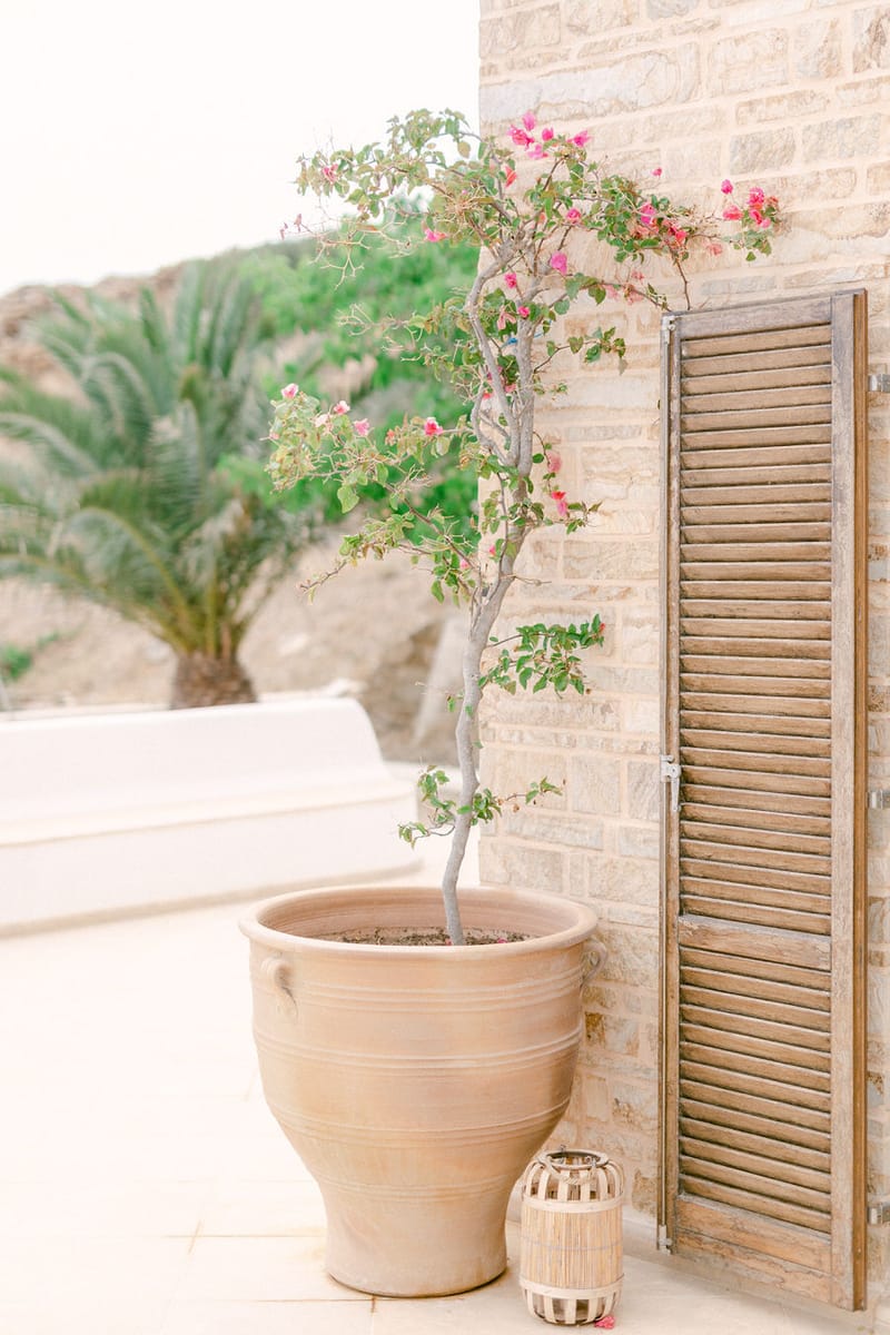 Vlad & Andreea 's Wedding Day