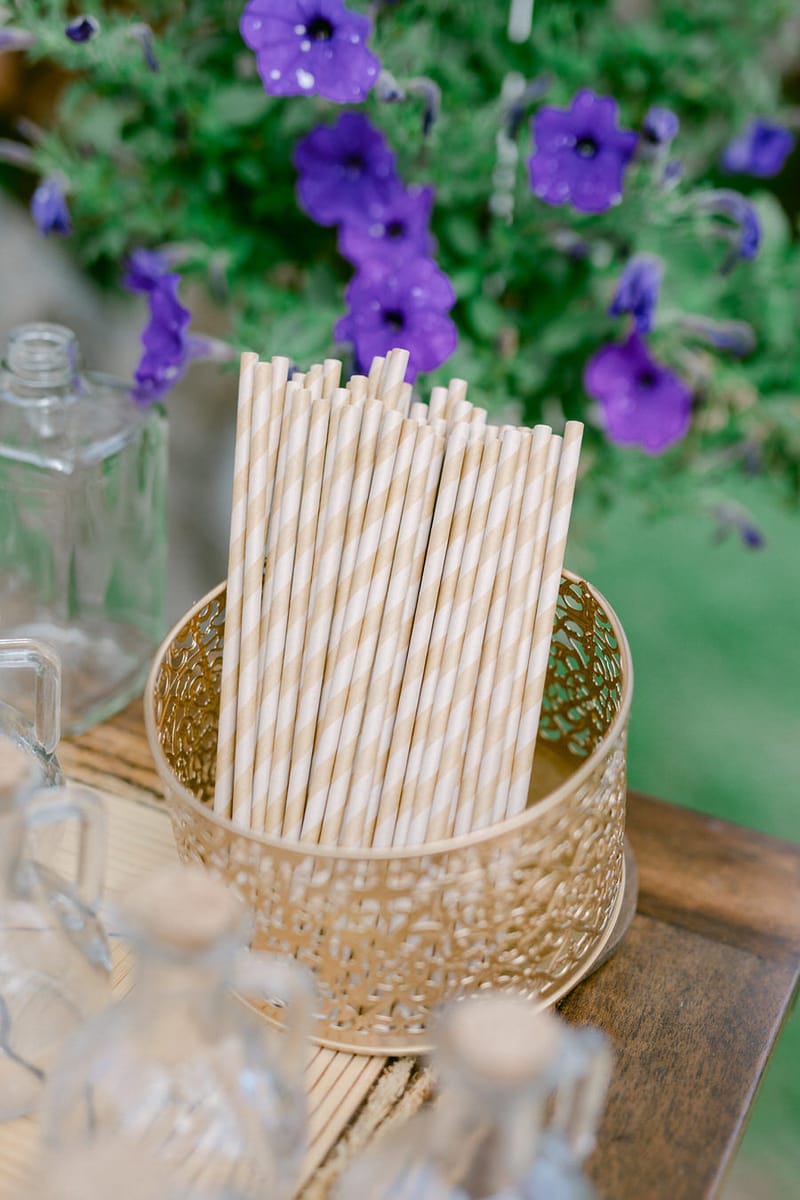 Vlad & Andreea 's Wedding Day