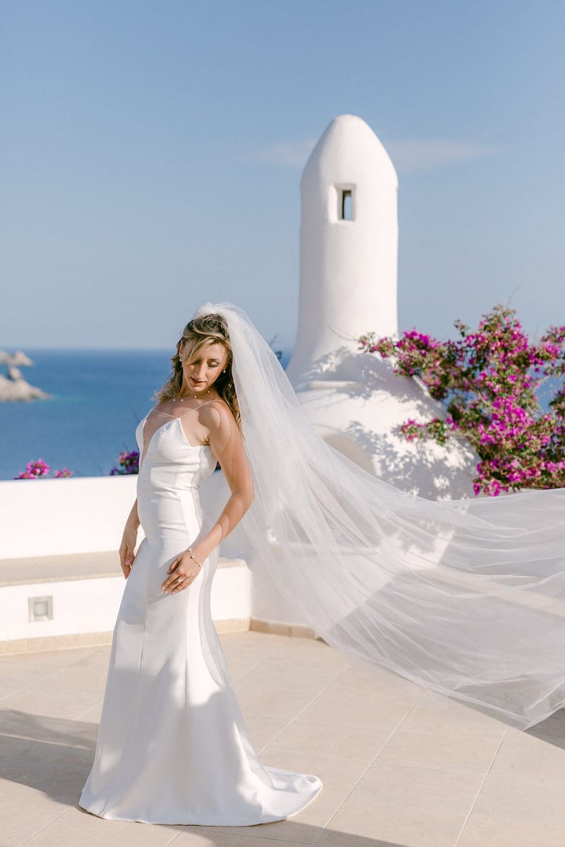 Vlad & Andreea 's Wedding Day