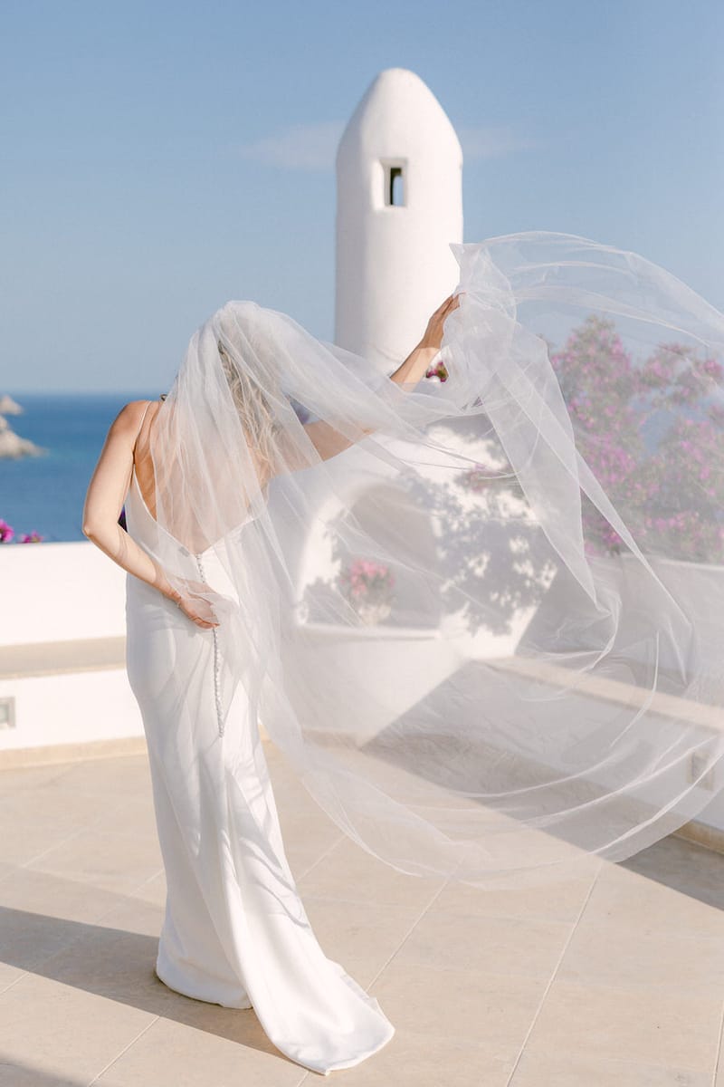 Vlad & Andreea 's Wedding Day