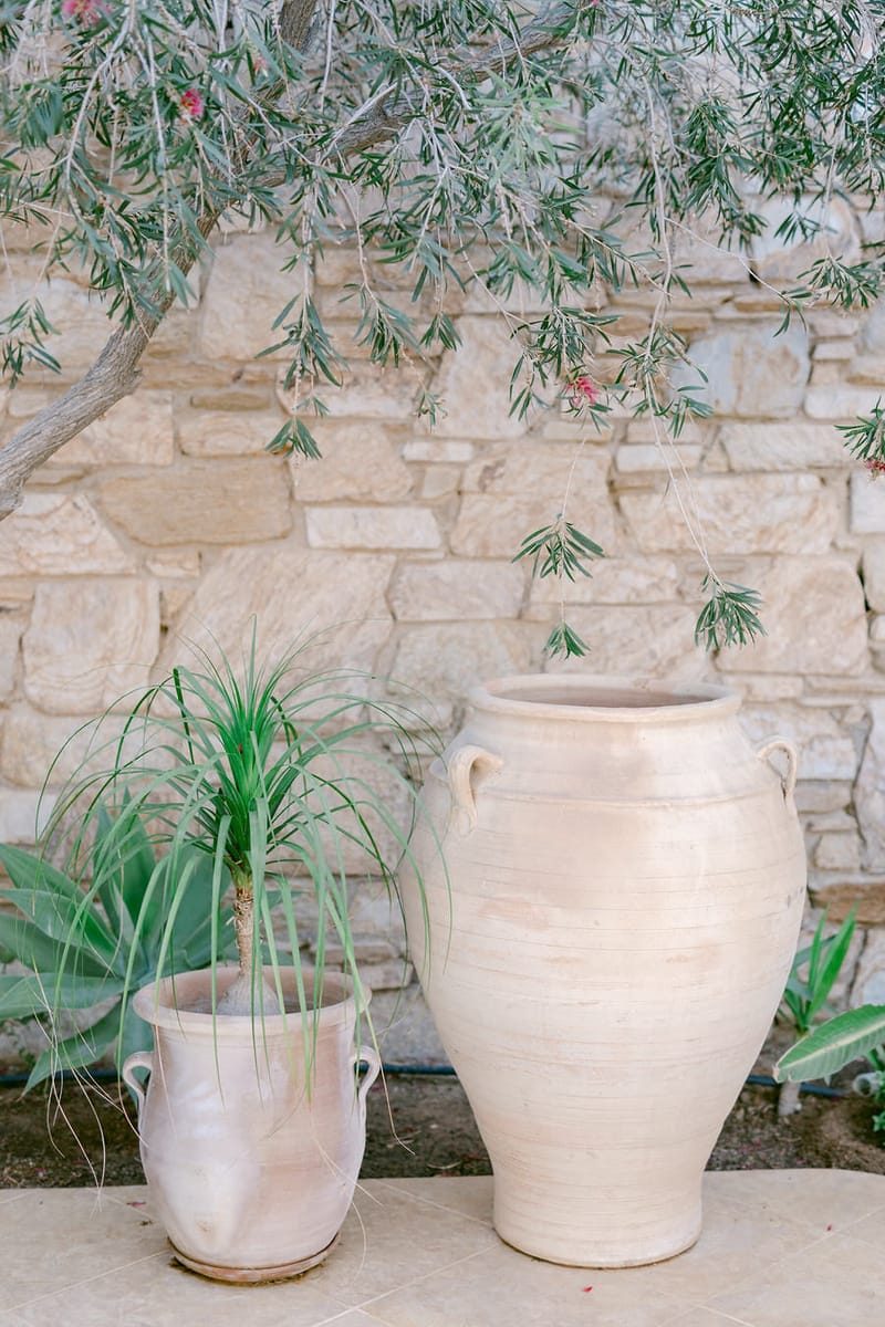 Vlad & Andreea 's Wedding Day