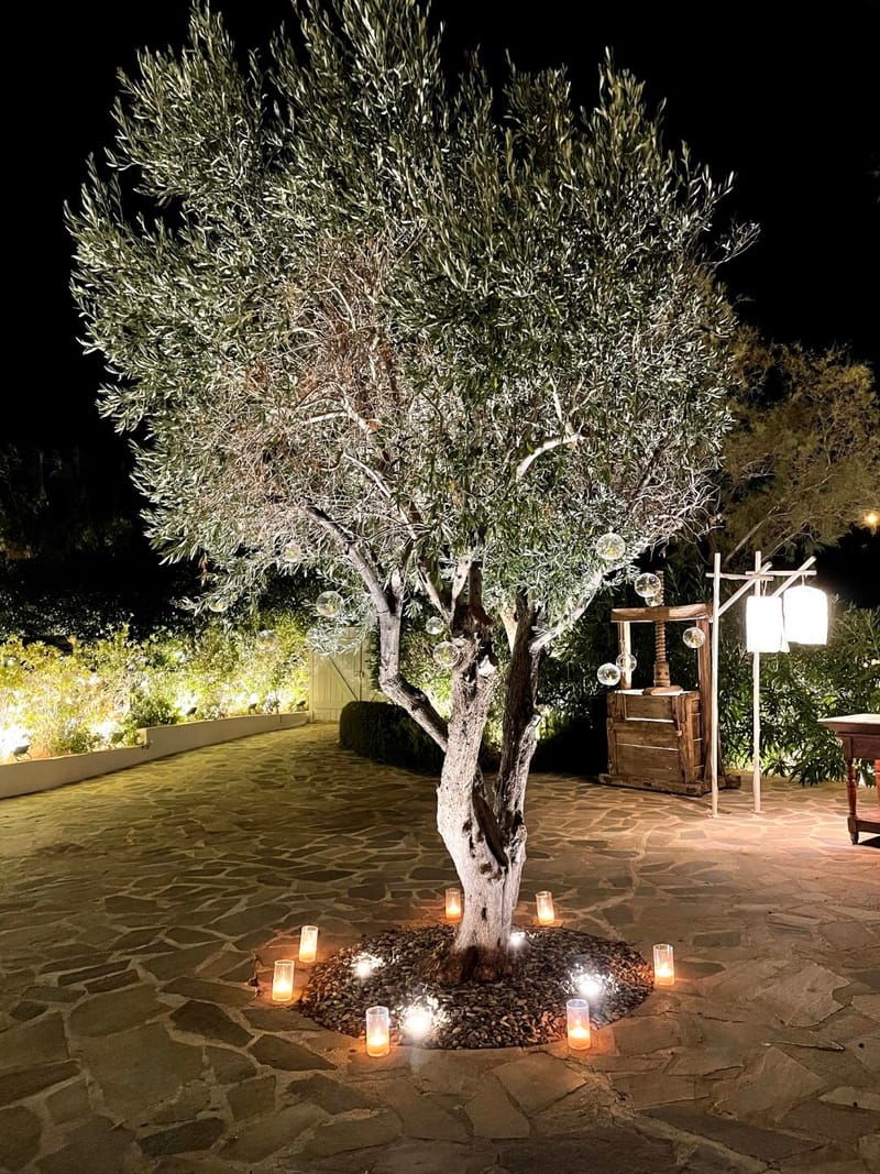 Jenny & Sertac Wedding @ Island Athens