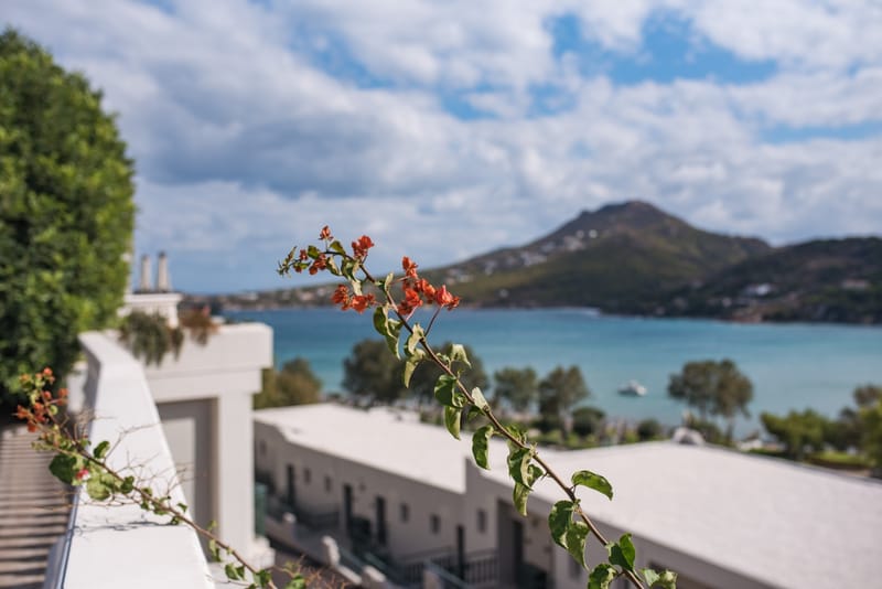 Emily & Kyle Wedding @ Dolce Attica