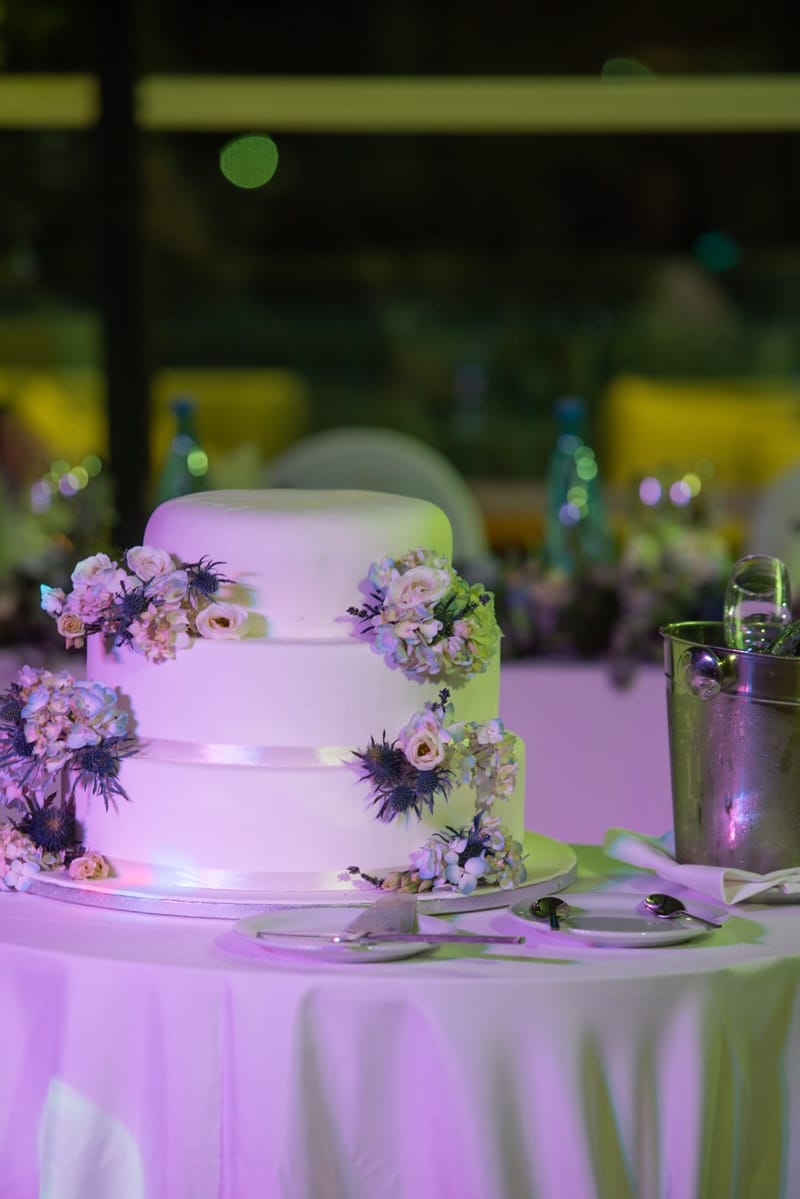 Emily & Kyle Wedding @ Dolce Attica