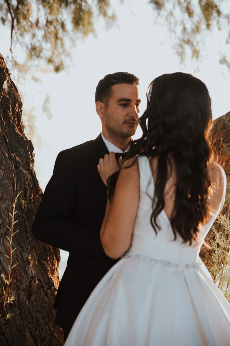 Sia & Vassilis Olive Theme Wedding in Athens