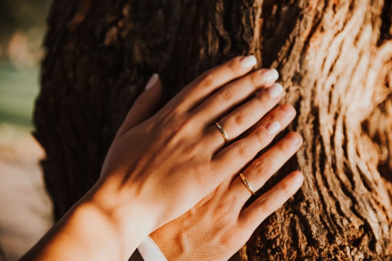 Sia & Vassilis Olive Theme Wedding in Athens