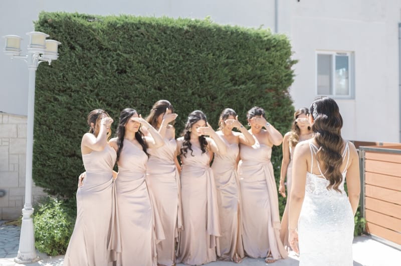 Amar & Simi Indian Wedding in Crete