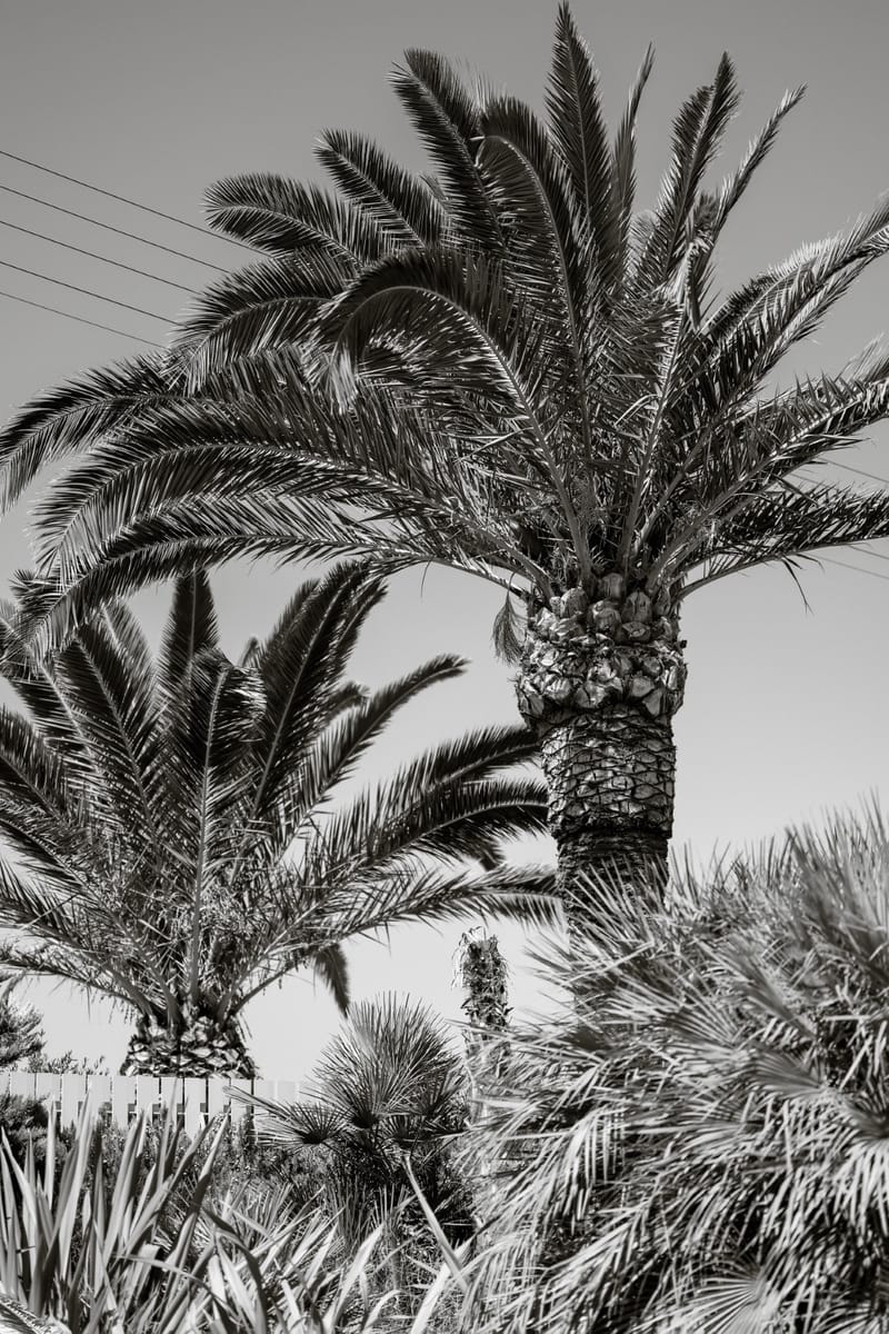 Alice & Kingsley Nigerian Wedding in Athens