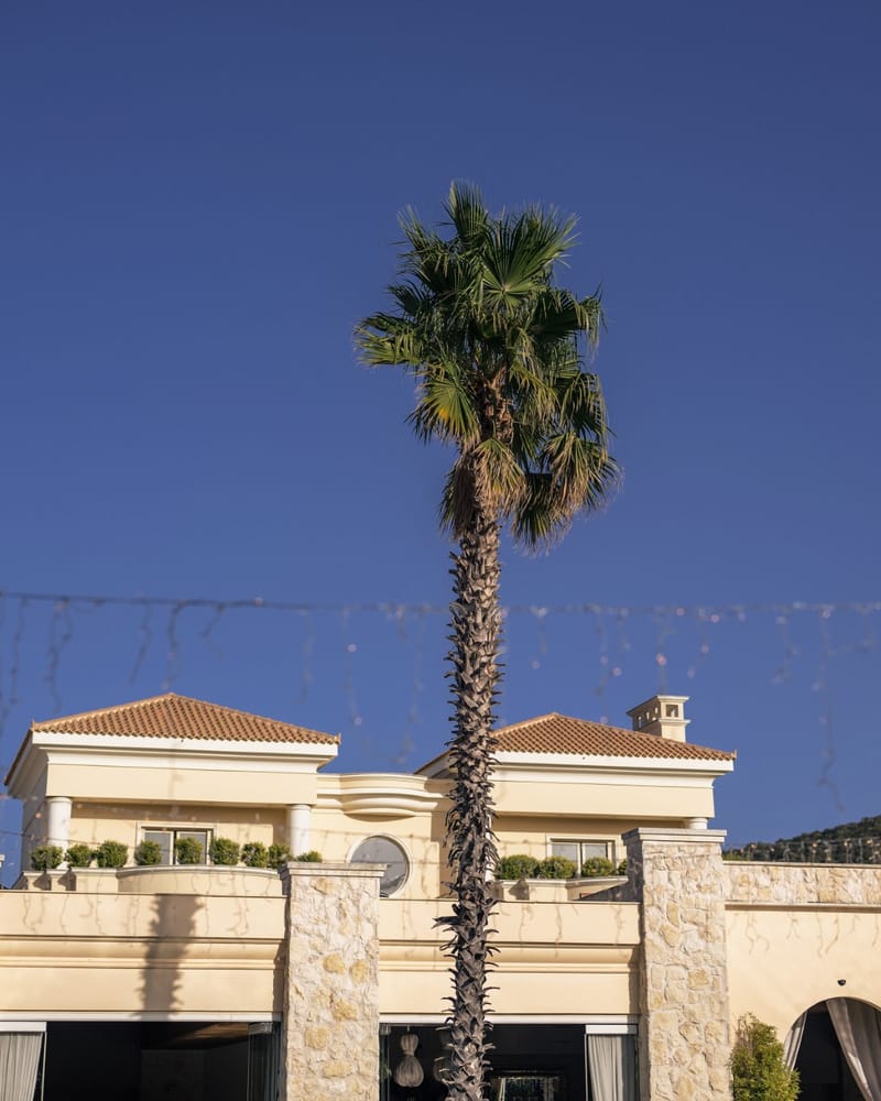 Alice & Kingsley Nigerian Wedding in Athens