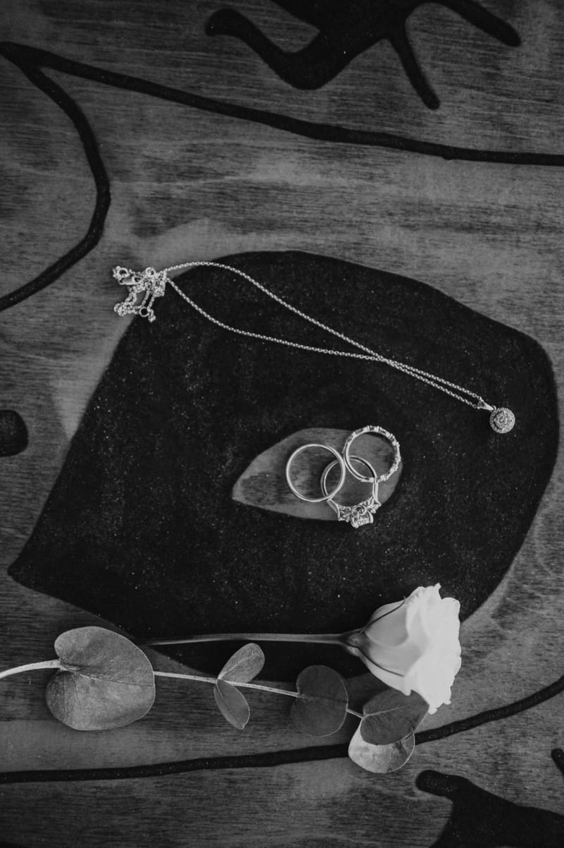 Caitlin & Mike Elopement in Ios