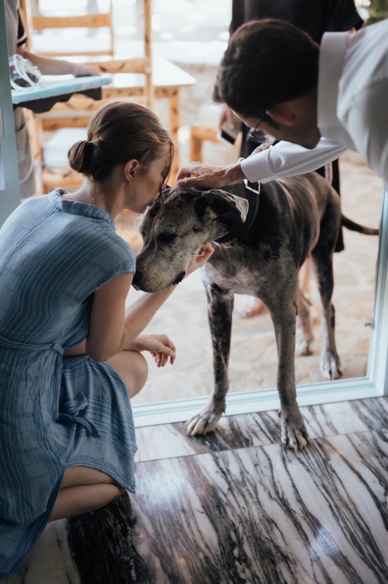 Caitlin & Mike Elopement in Ios