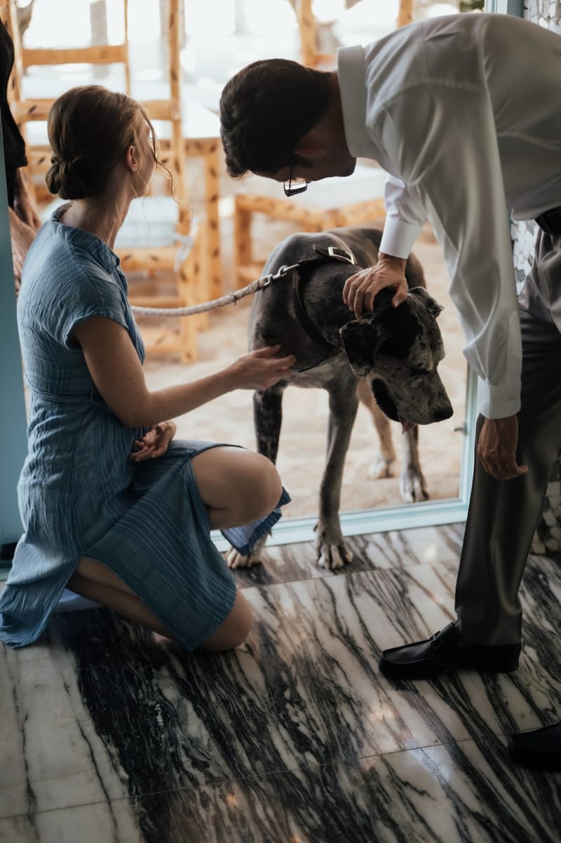 Caitlin & Mike Elopement in Ios