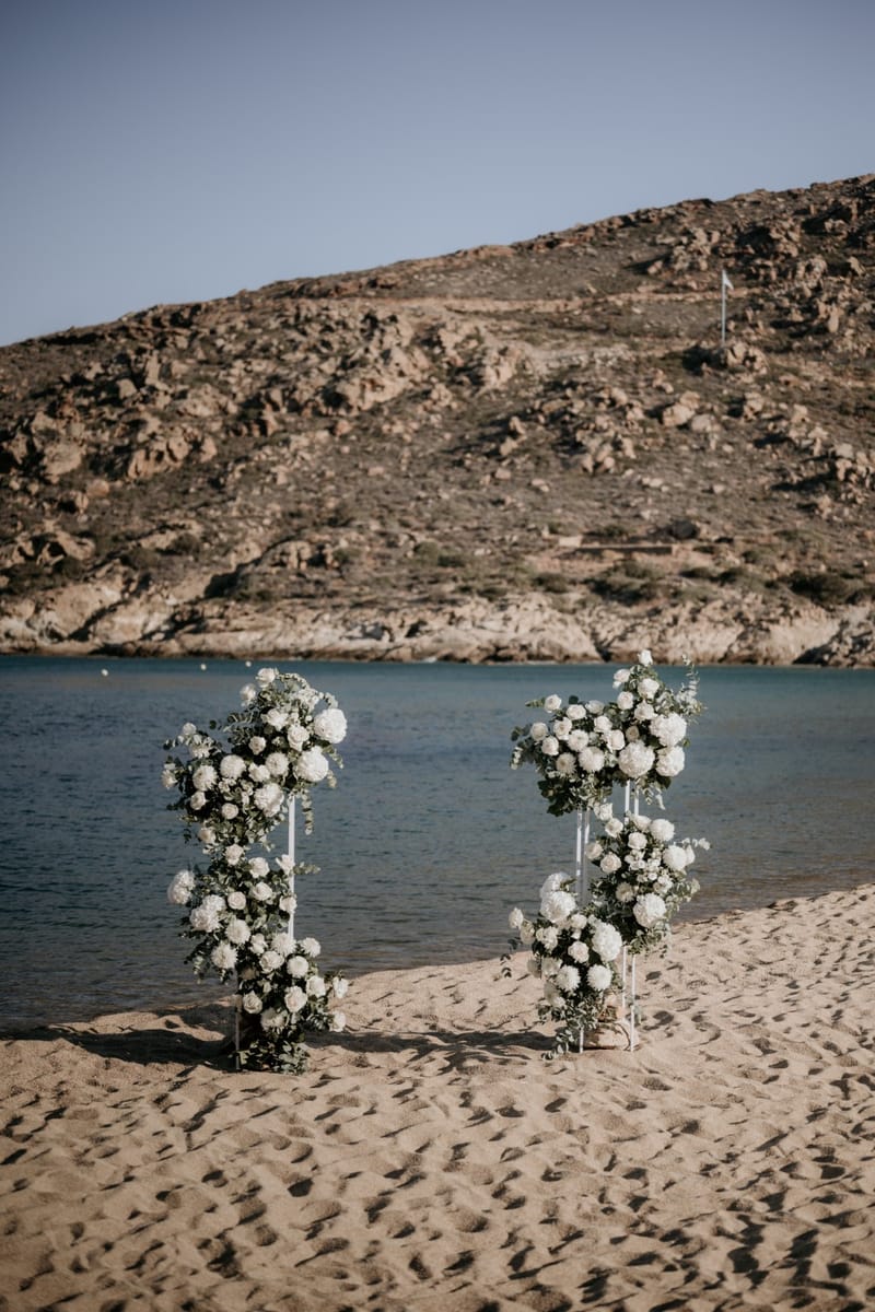 Caitlin & Mike Elopement in Ios