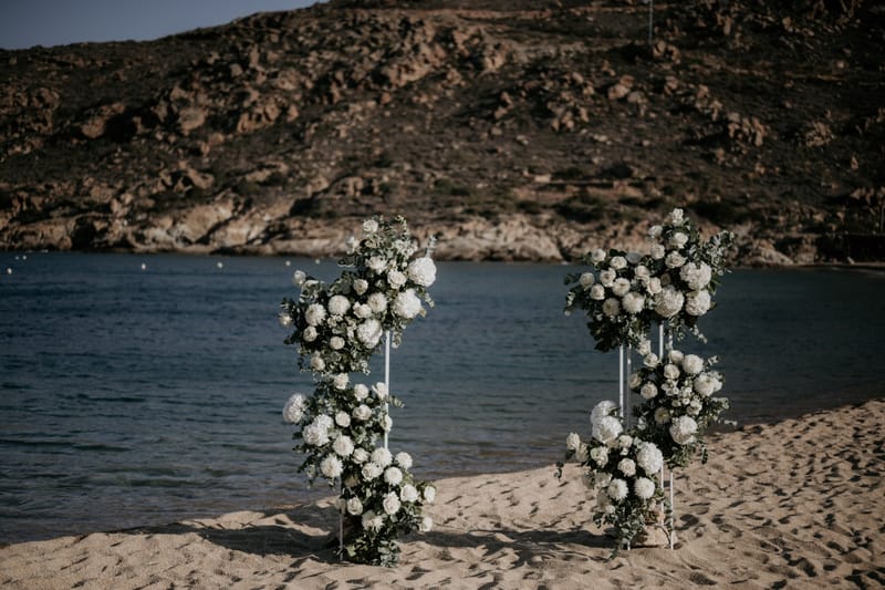 Caitlin & Mike Elopement in Ios