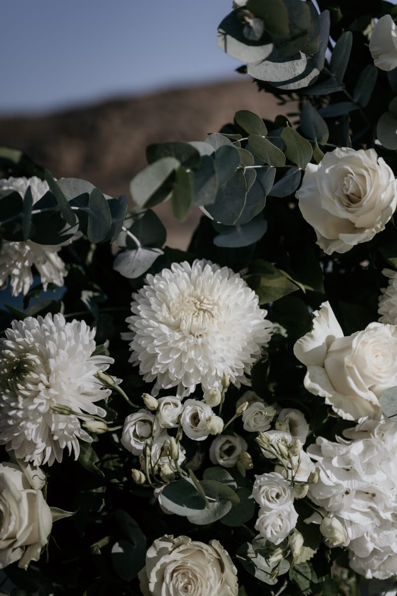 Caitlin & Mike Elopement in Ios