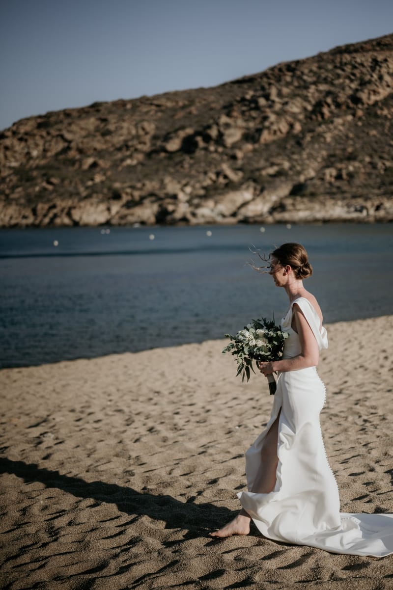 Caitlin & Mike Elopement in Ios